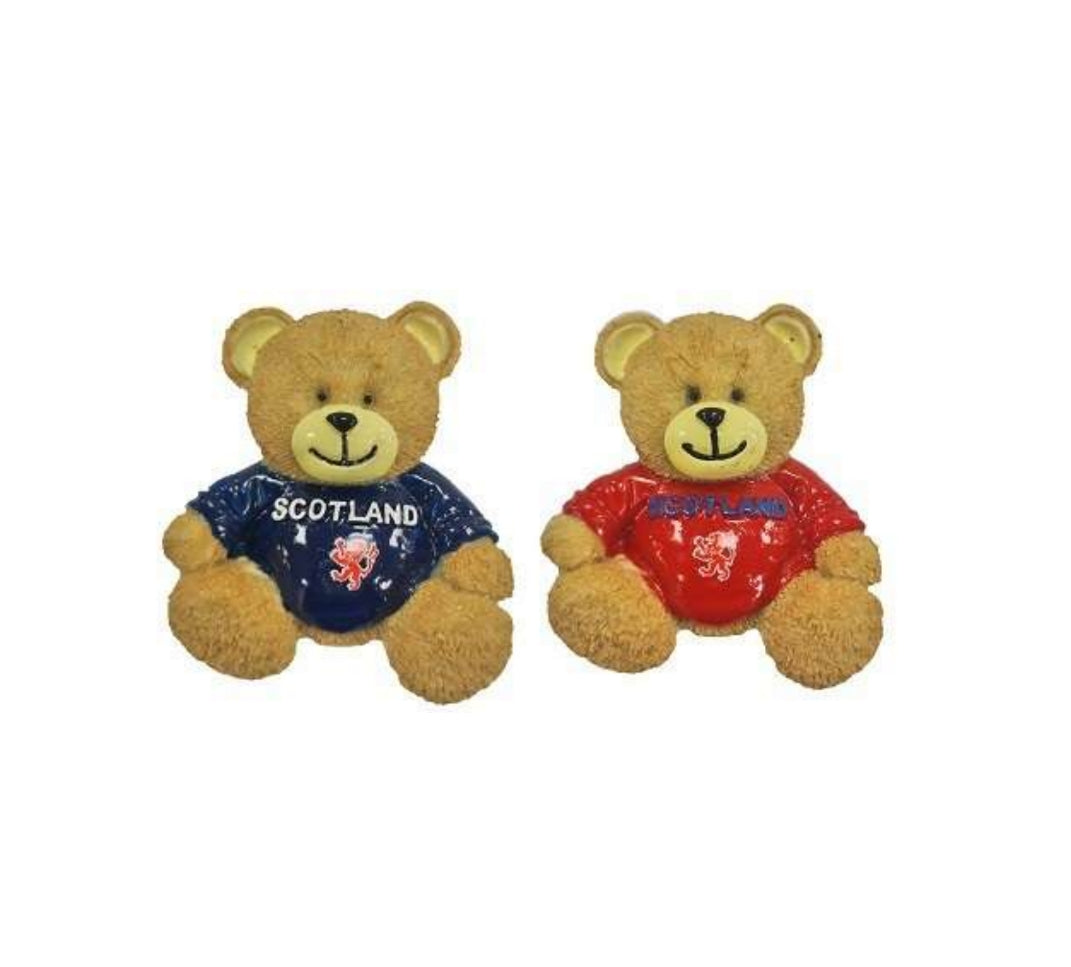 2-in-1 Teddy Bear Resin Magnet image 0